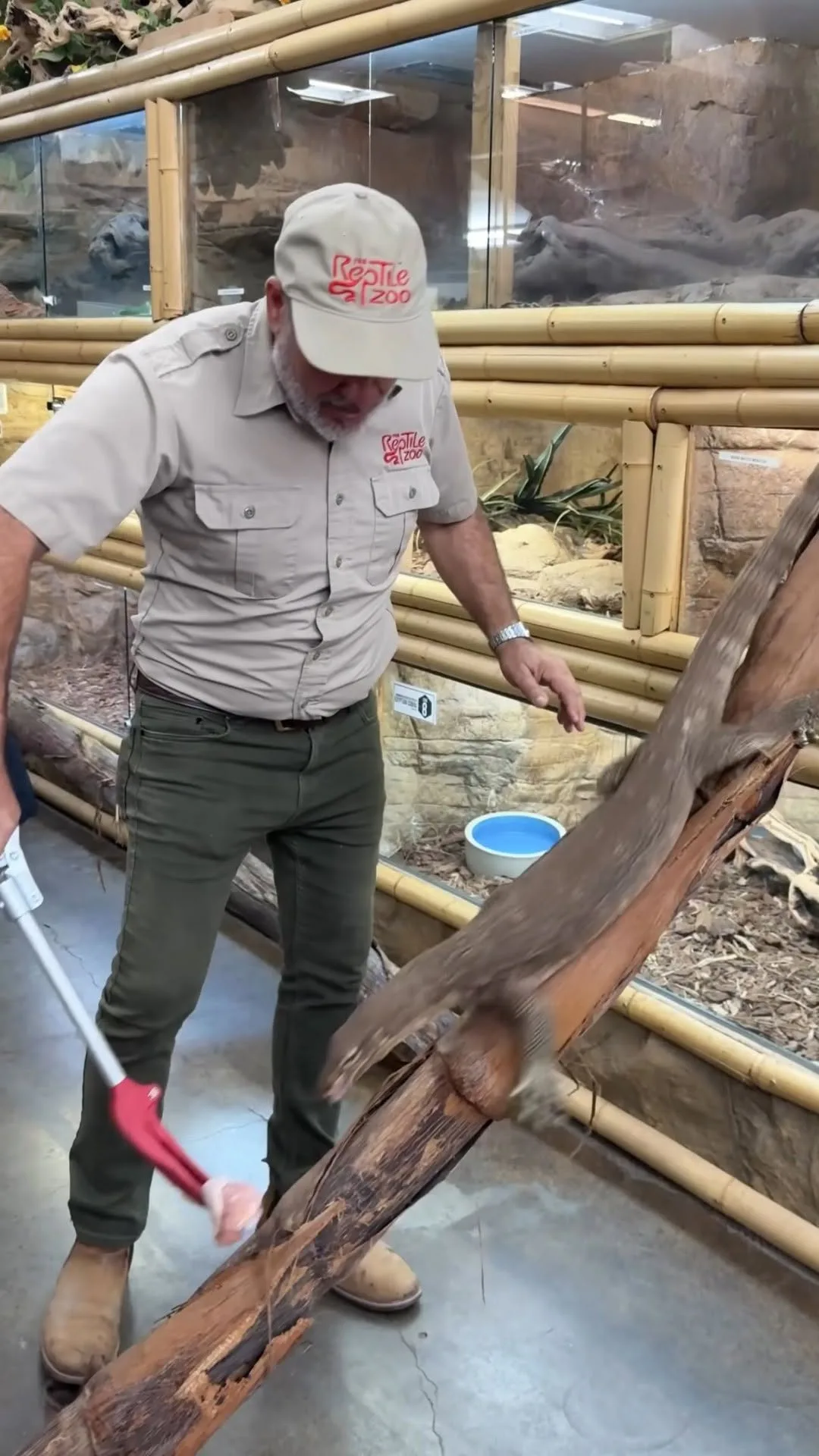 Jay Prehistoric Pets